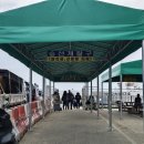 덕적도 여행 ] 방아머리선착장 - 대부도 출발 배편 시간표 예약 차량선적 새벽 웨이팅 후기