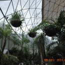 지오데식(Geodesic-dome)돔을 이용한 온실 및 도시농업 활용 이미지