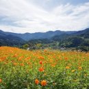 지리산생태체험단지 이미지