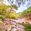 대원사계곡 이미지