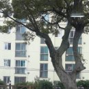 정박사냉면본점 이미지