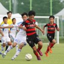 꿈나무수정 이미지