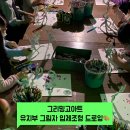 반월아이숲어린이집 이미지
