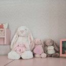 그래그래 | 추피의 생활이야기 , 베베코알라, 베베랑마마랑,그래그래 후기