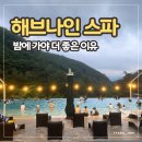 나이트 | 포레스트 리솜 해브나인 나이트스파 후기 | 운영시간·이용요금·야식 꿀팁