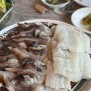 달달하모 | [전남 여수 맛집] 새조개샤브샤브 갯장어샤브샤브 전현무계획 여수맛집 황가네하모