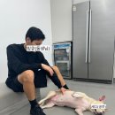 멍얀트리 이미지