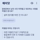 사진하는사람 이미지