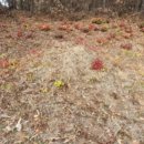 하림1리 마을회관 이미지