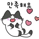 미미모모
