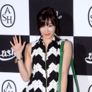 뉴베스트가방