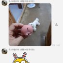 독스호텔리어 이미지