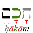 하캄 Daum카페
