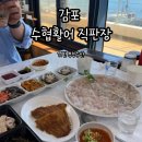 어촌로11번길 11 | 감포 수협활어직판장 대게 회 맛집 11번 부부수산 내돈내산 후기