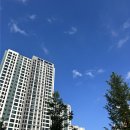 도레미캣 고양이분양 남양주 다산점 이미지