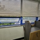 사파동124 이미지