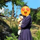 돌개구멍 화장실 이미지