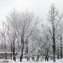 자매공원 이미지