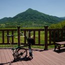 서시천자전거길1 이미지