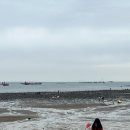 왜목스테이 | [당진] 왜목마을 해수욕장 갯벌체험 / 이료일 스테이(ilyoil stay)