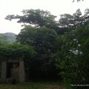 석불슈퍼 이미지