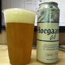 돌고래 노래연습장 이미지