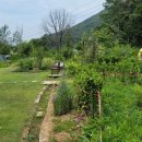 부봉농장 이미지