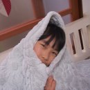 슈가로즈