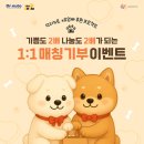 닥터펫푸드 이미지