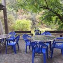 하림식당 이미지