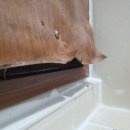 은행로 12번길 이미지