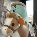 에코랜드수영장 이미지