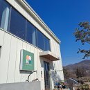 도그멜로우(DogMellow) | 용인 처인구 애견동반 가능 카페! 몽트커피 다녀옴