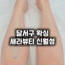 새라뷰티