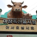 청명축산 이미지