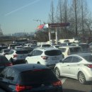 비비큐 시민공원점 | 9박 10일 시드니 혼자 여행 후기. 환율폭탄 큐티캥거루 앤나 납작복숭아 찬양기