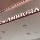 더엠브로시아 이미지