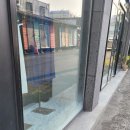 졸리에스