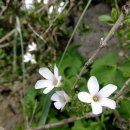 영암우체국 이미지