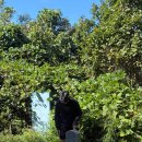 호계길 | 충남/천안 금북정맥 가볍게 타기 좋은 위례산 등산후기 ! 주자창 정보 공유