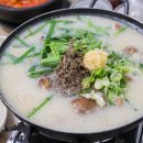 돗도구리