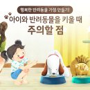 아이와 반려동물을 키울 때 주의할 점 이미지