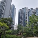 8월신촌