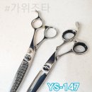 타쿠미 시저스