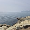 [3월 재능나눔] 행복한 엄마의 명상(마음챙김) | 동행명상(Eco-Mindfulness Meditation)