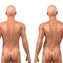 플로트테라피 부양욕을 통한 일자목과 척추측만증 자연치유 후기~ 송파마사지 잠실마사지
