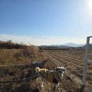 하동1길 이미지