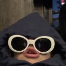 여우자리파스타 이미지