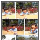 수지면 마륜마을 이미지