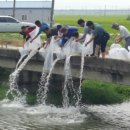 목천포천 이미지